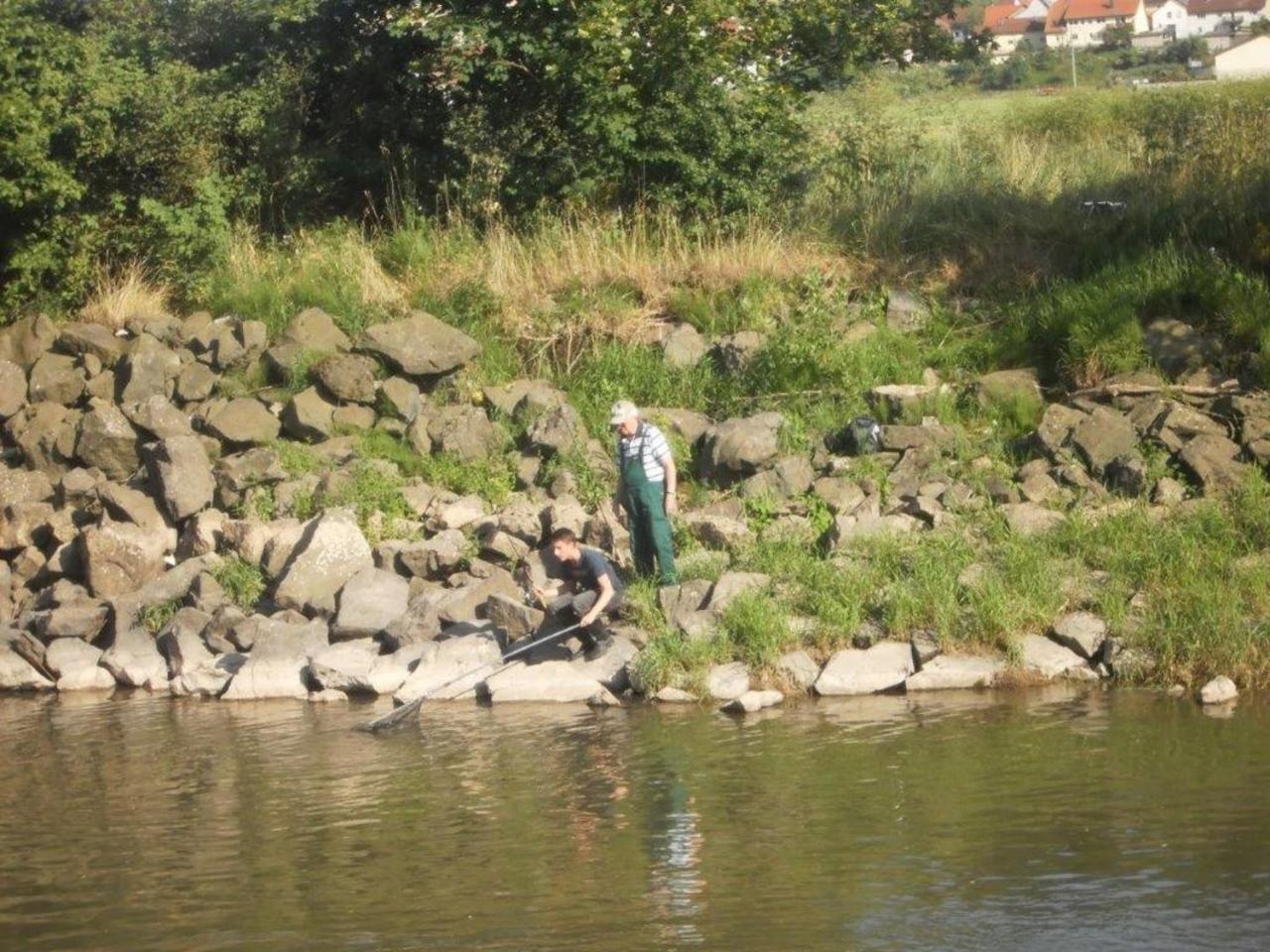 Ferienhof "Die Schenkenau" Bodelstadt Bagian luar foto