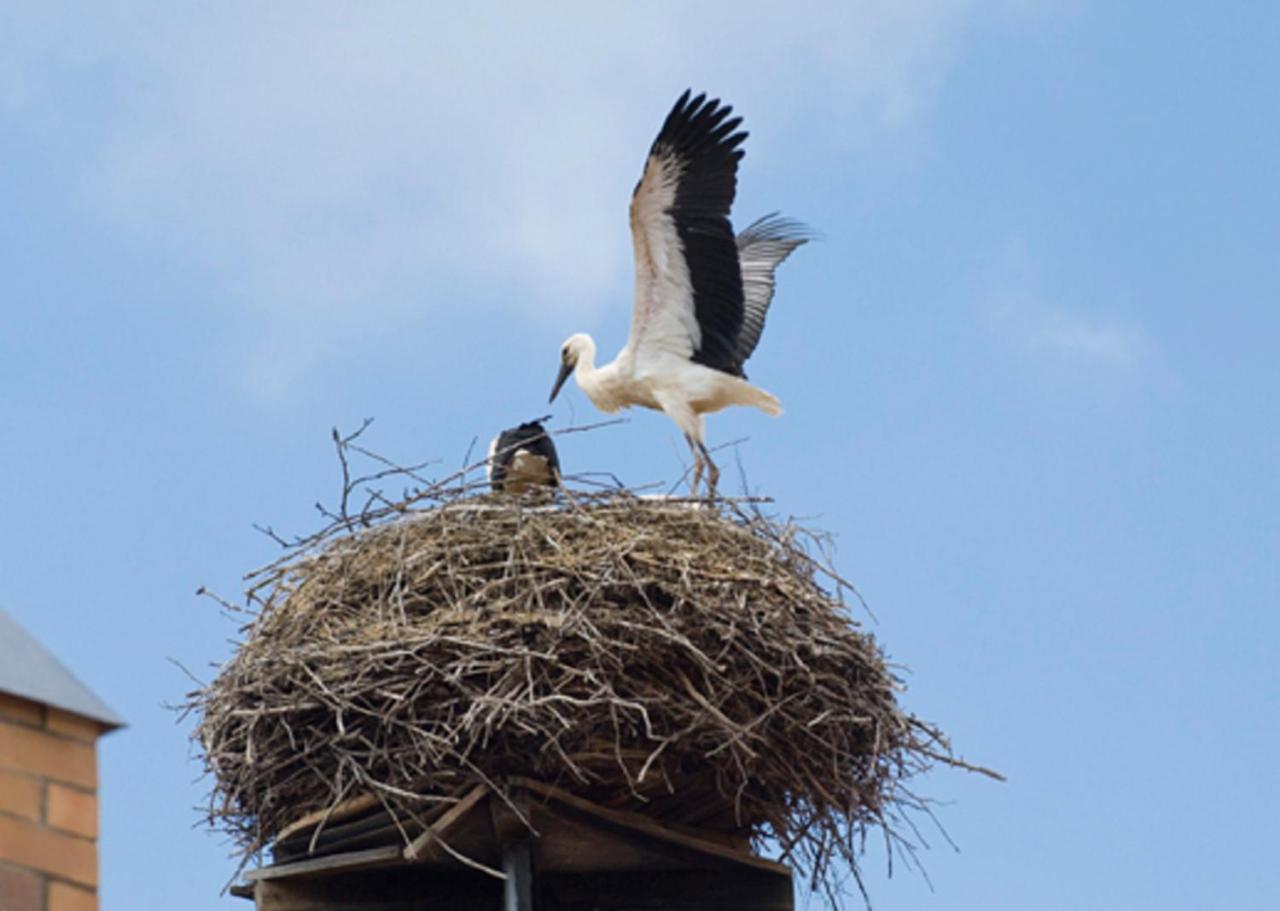 Ferienhof "Die Schenkenau" Bodelstadt Bagian luar foto